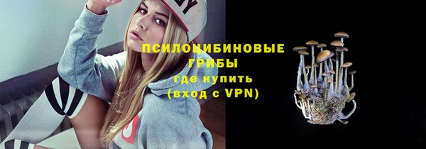 спайс Аркадак